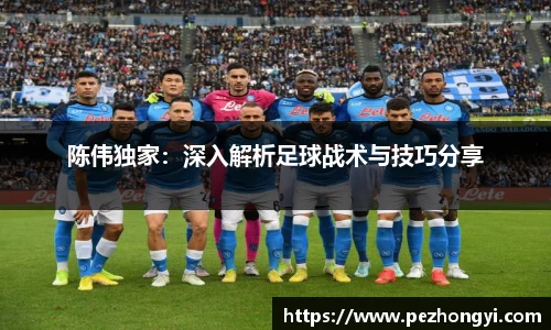 陈伟独家：深入解析足球战术与技巧分享
