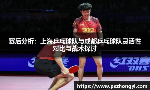 赛后分析：上海乒乓球队与成都乒乓球队灵活性对比与战术探讨